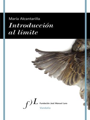 Introducción al límite - ebook